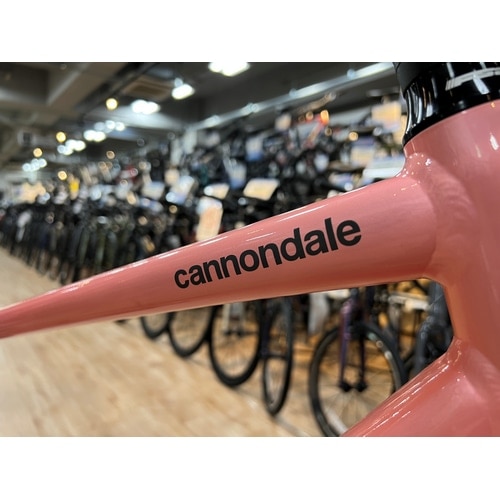 CANNONDALE ( Lmf[ ) NXoCN Quick Disc Women's 4 ( NCbN fBXN EBY 4 ) SRP - VFp MD(Kgڈ170cmO)
