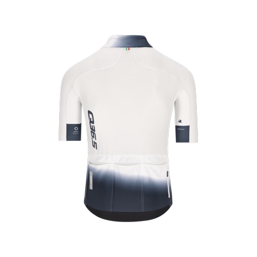 Q36.5�i �L���[�T�[�e�B�V�b�N�X�|�C���g�t�@�C�u �j �����W���[�W GREGARIUS PRO COLLAR FADE JERSEY ( �O���K���A�X �v�� �J���[ �t�F�[�h �W���[�W ) �z���C�g S