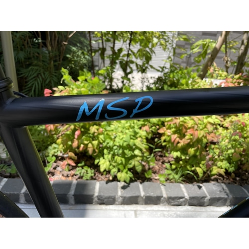 MULLER ( ミューラー ) ロードバイク MSP カンパコーラス12S 【上野アサゾー オリジナル完成車 アウトレット特価】 46(適応身長160cm前後)