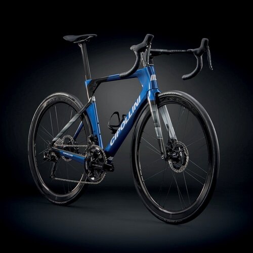 CIPOLLINI ( `|b[j ) [ht[ RB1K AD.ONE ( A[r[P[ Ah ) u[ J[{ zCg XS (gڈ165cmO)