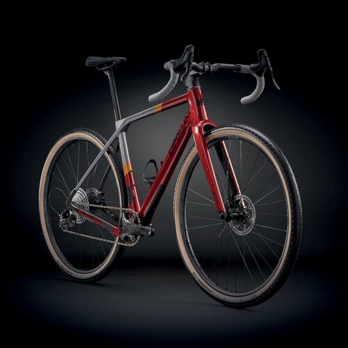 CIPOLLINI ( `|b[j ) Oxt[ AGO ( AS ) bh AgTCg IW XS (gڈ165cmO)