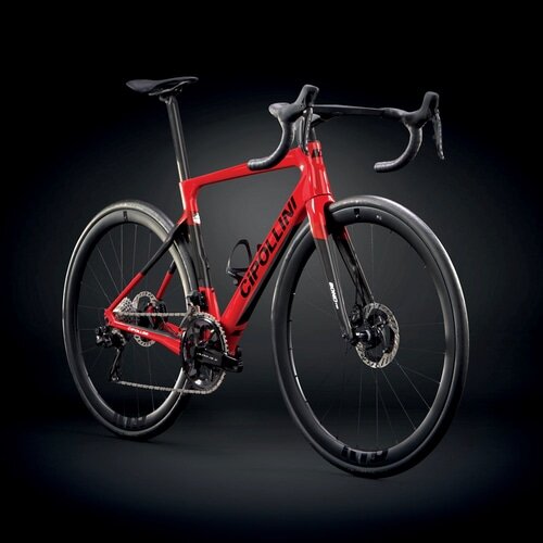 CIPOLLINI ( `|b[j ) [ht[ BOND EVO DISC ( {h GH fBXN ) bh J[{ bh^ XS (gڈ165cmO)