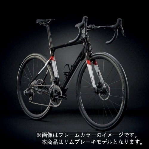 CIPOLLINI ( `|b[j ) [ht[ BOND EVO RIM ( {h GH  ) J[{ Vo[ bh XS (gڈ165cmO)