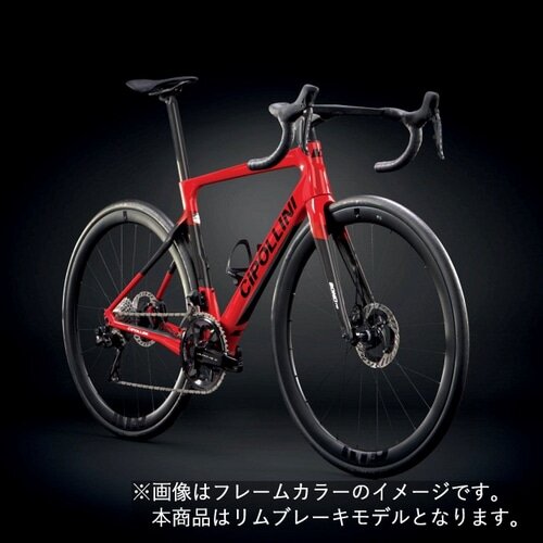 CIPOLLINI ( `|b[j ) [ht[ BOND EVO RIM ( {h GH  ) bh J[{ bh^ XS (gڈ165cmO)