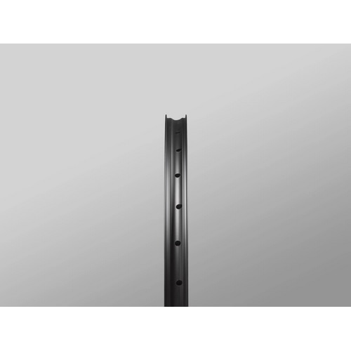 RESERVE ( U[u ) MTBpzC[ 30/SL Carbon ( J[{ ) OZbg DT350-XD nu XD / 29" (30-622)[^C@ 2.2-2.6C`]