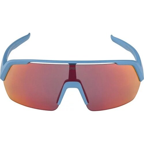 ALPINA ( アルピナ ) サングラス TURBO HR ( ターボ エイチアール ) スモーク/ブルーマット