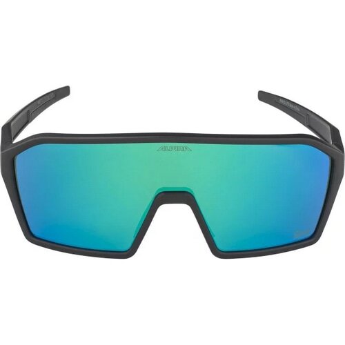 ALPINA ( アルピナ ) サングラス RAM Q-LITE ( ラム キューライト ) ブラックマット(グリーン)