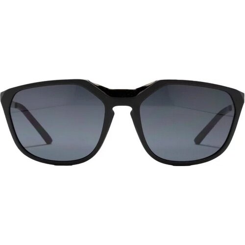 ALPINA ( アルピナ ) サングラス FLEEK ( フリーク ) ブラック/シルバーマット