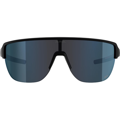 ALPINA ( アルピナ ) サングラス RAM 2.0 Q-LITE ( ラム 2.0 Q-ライト ) ブラックマット