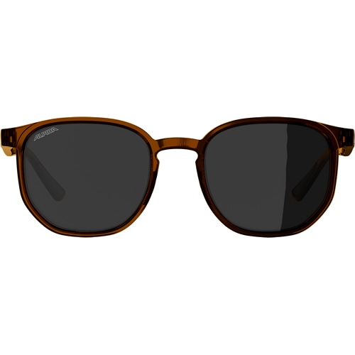 ALPINA ( �A���s�i ) �T���O���X DIMONT ( �f�B�����g ) �u���E���g�����X�p�����g�}�b�g