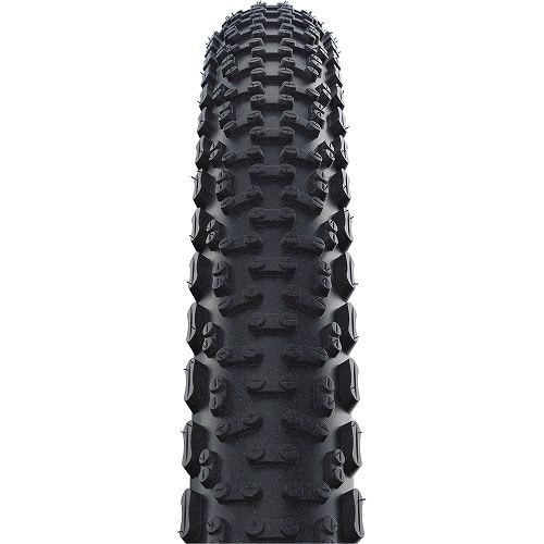 SCHWALBE ( Vx ) `[uX^C  W[ EgoCg EVOLUTION ( G{[V )  ubN 29X2.00