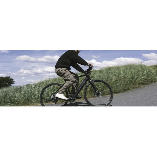 FUJI ( tW ) dAVXg]ԁie-bikej MOTIVATOR ( `x[^[ ) }bgubN M ( Kg170-180cmO )