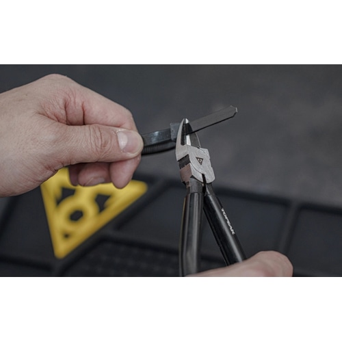 TOPEAK ( gs[N ) ėpH 6 _CASi JbeBO vC[