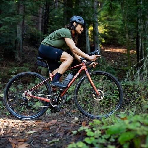 GIANT ( ジャイアント ) グラベルロード LIV DEVOTE 2 ( リブ ディヴォート 2 ) テラコッタ 390XS (適応身長155-170cm)