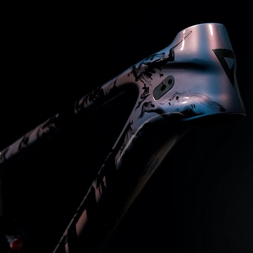 GIANT ( ジャイアント ) マウンテンバイクフレーム ANTHEM ADVANCED