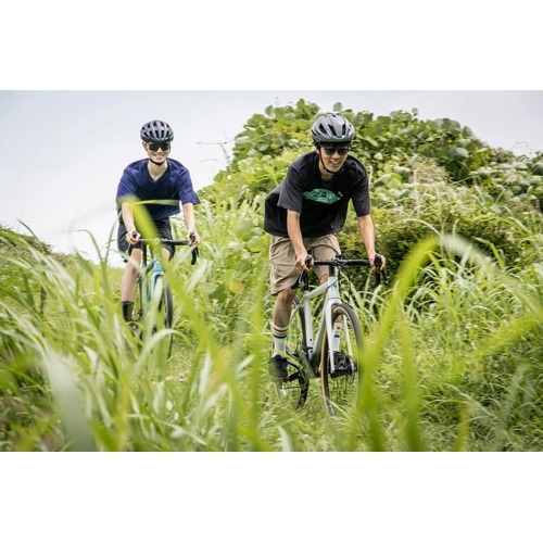 NESTO ( lXg ) Ox[h GAVEL ( Kx ) }bgubN 530 ( gڈ180cmO )