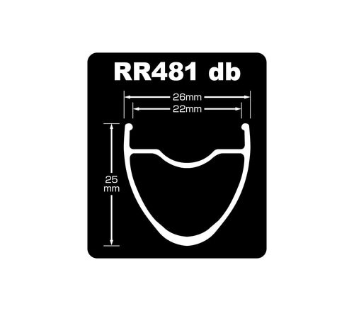 DT SWISS ( fB[eB[XCX )  RR481 DB 700C 28H