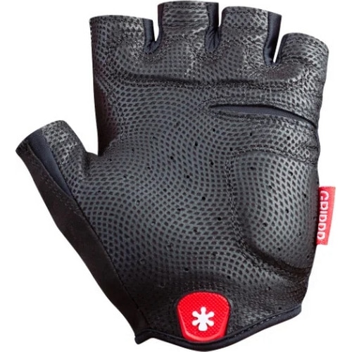 HIRZL ( �n�[�c�F�� ) �w�؂�O���[�u GRIPPP TOUR SHORT 2.0 ( �O���b�v �c�A�[ �V���[�g 2.0 ) ���b�h S