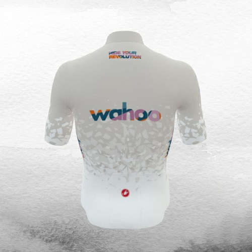 Wahoo ( ���t�[ ) �����W���[�W WAHOO × CASTELLI SQUADRA JERSEY ( ���t�[ x �J�X�e�� �X�N�A�h�� �W���[�W ) �O���[/�z���C�g M