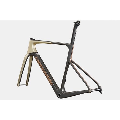 CANNONDALE ( キャノンデール ) ロードフレーム SUPERSIX EVO HI-MOD FRAMESET ( スーパーシックス エボ ハイモッド フレームセット ) プラチナム 48 ( 身長目安155cm前後 )