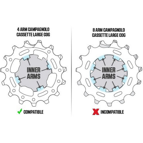 Wahoo ( t[ ) TCNg[i[IvV Campagnolo ( Jpj[ ) t[nu{fB ( Wahoo KICKR 18 20 / KICKR CORE p ) 11T 12TbNOt