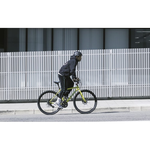 FUJI ( tW ) NXoCN RAIZ DISC ( CY fBXN ) uY 17 ( gڈ165cmO )