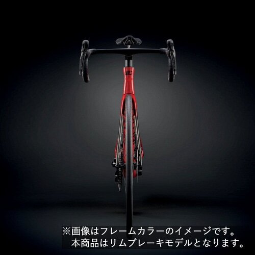 CIPOLLINI ( `|b[j ) [ht[ BOND EVO RIM ( {h GH  ) bh J[{ bh^ XS (gڈ165cmO)