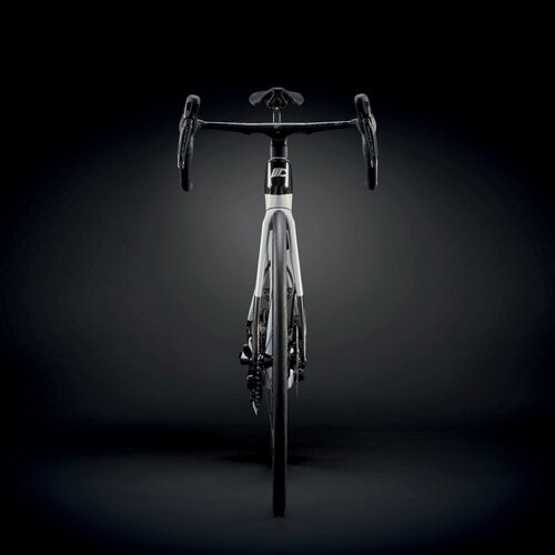 CIPOLLINI ( `|b[j ) [ht[ RB1K THE ONE DISC ( U  fBXN ) zCg J[{ u[ XS (gڈ165cmO)