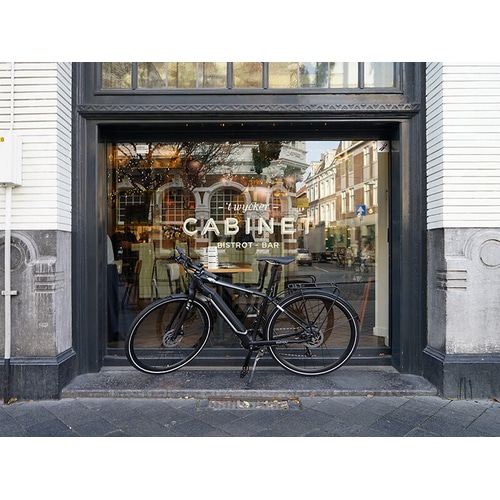 BESV ( �x�X�r�[ ) �d���A�V�X�g���]�ԁie-bike�j JF1 �A�E�g���b�g���f�� �}�b�g�u���b�N XS ( �g���ڈ�160cm�O�� )