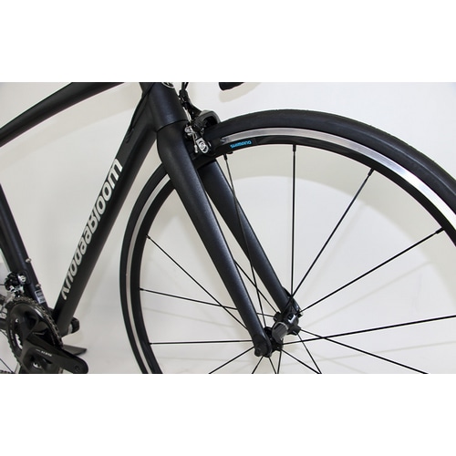 KHODAABLOOM ( R[_[u[ ) [hoCN FARNA 105  ( t@[i 105 ) }bgubN 395mm ( gڈ150cmO )uECꔄv