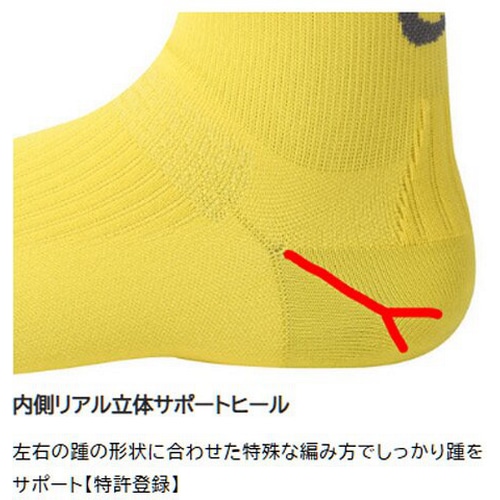 R×L SOCKS ( A[G\bNX ) \bNX TBK-300R oCN [VO Obv \bNX ( Eh ) IW/zCg S ( 22-24cm )