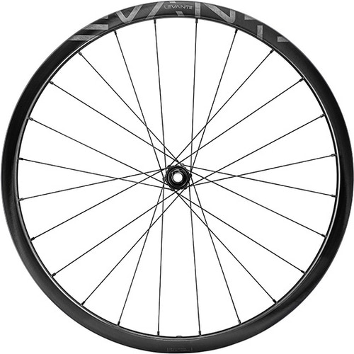 Campagnolo ( カンパニョーロ ) ロードバイク用ホイール(ディスクブレーキ用) LEVANTE DB 2WAY-FIT F/R ( レヴァンテ ディスクブレーキ 2ウェイフィット 前後セット ) シマノHG