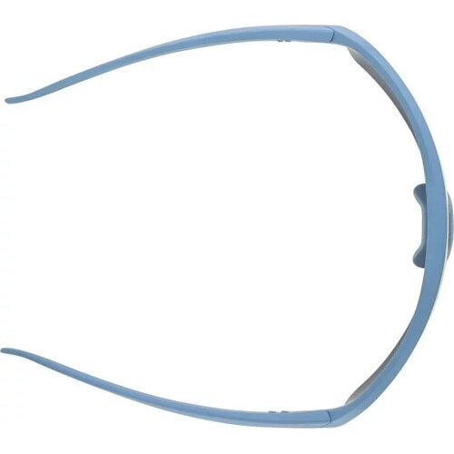 ALPINA ( アルピナ ) サングラス TURBO HR ( ターボ エイチアール ) スモーク/ブルーマット