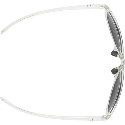 ALPINA ( アルピナ ) サングラス NACAN II ( ナカン ツー ) トランスオパレントグロス