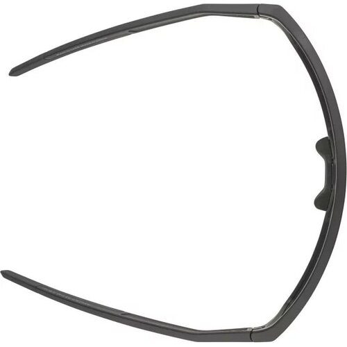 ALPINA ( アルピナ ) サングラス RAM Q-LITE ( ラム キューライト ) ブラックマット(グリーン)