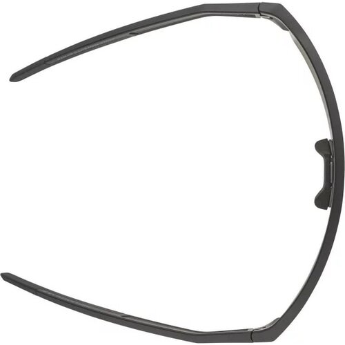 ALPINA ( アルピナ ) サングラス RAM HR Q-LITE ( ラム エイチアール キューライト ) ブラックマット