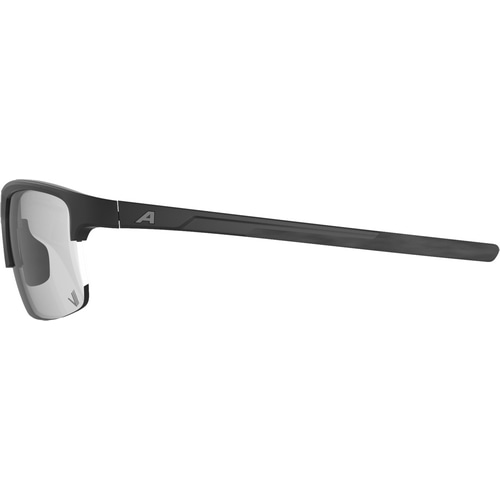 ALPINA ( アルピナ ) サングラス EAGLE V ( イーグル V ) ブラックマット