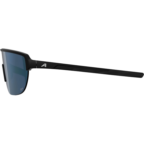 ALPINA ( アルピナ ) サングラス RAM 2.0 Q-LITE ( ラム 2.0 Q-ライト ) ブラックマット