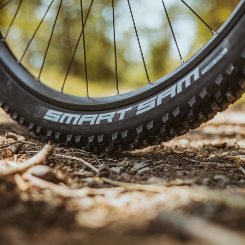 SCHWALBE ( �V�������x ) �N�����`���[�^�C�� SMART SAM ( �X�}�[�g�T�� ) �u���b�N 16X1.85 ( 305 )