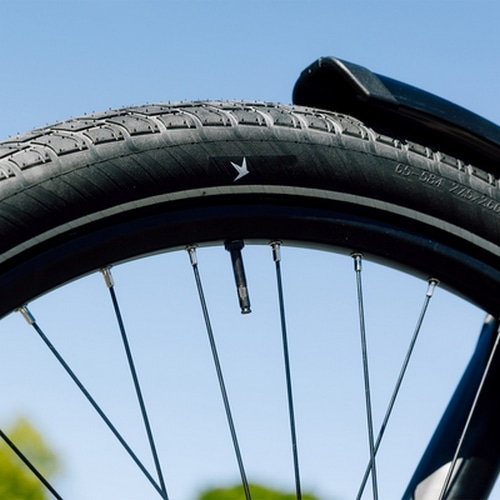 SCHWALBE ( �V�������x ) �N�����`���[�^�C�� MOTION BIG APPLE ( ���[�V�����r�b�O�A�b�v�� ) �u���b�N���t���b�N�X 20X2.00 ( 406 )