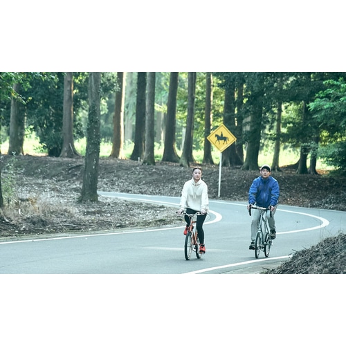 DAHON ( �_�z�� ) �~�j�x���i���a�ԁj MAKO ( �}�R ) �A�C�X�u���[ ONESIZE(�K���g���ڈ�165cm-175cm)