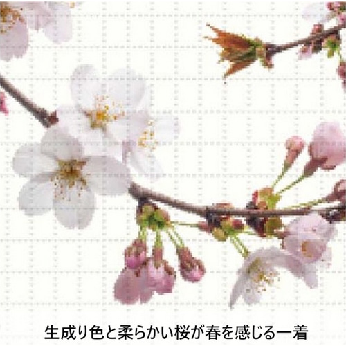 PEARL-IZUMI ( �p�[���C�Y�~ ) �����W���[�W S621-B �u�����g�x�[�V�b�N�W���[�W 13 SAKURA L