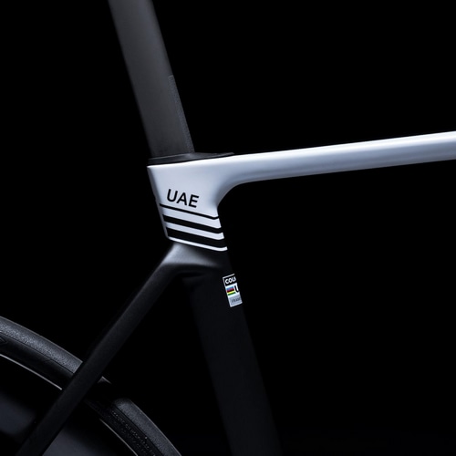 COLNAGO ( RiS ) [ht[ V5Rs DISC Frame Set ( uCt@Cu A[GX t[Zbg ) SDM5 485S (gڈ165cmO)