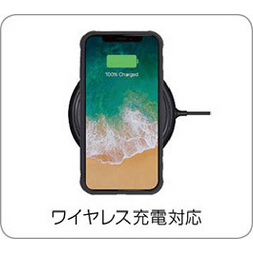 TOPEAK ( �g�s�[�N ) �X�}�z�z���_�[ ���C�h�P�[�X �P�� IPHONE 11�p