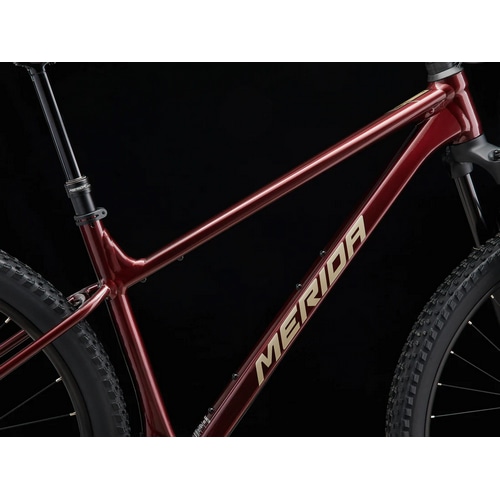 MERIDA ( _ ) }EeoCN BIG.NINE TR 600 ( rbOiC TR 600 ) Ob^[`F[ ( Vo[ ) ER63 38 (gڈ165cmO)