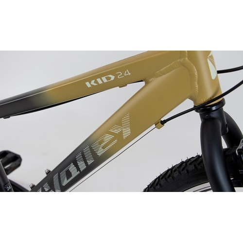 NESTO ( �l�X�g ) �L�b�Y�o�C�N X-VALLEY KID24 ( �N���X�o���[ �L�b�h24 ) ���b�h �K���g���ڈ�130-145cm