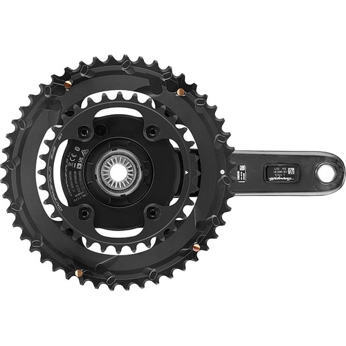 Campagnolo ( カンパニョーロ ) クランクタイプパワーメーター RECORD