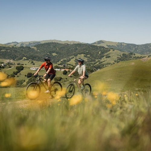 MARIN ( } ) }EeoCN BOLINAS RIDGE-1 ( {iXbW 1 ) IW/ubN 27.5 / S (gڈ160cmO)