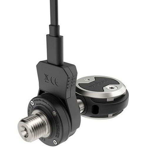 Wahoo ( t[ ) [hprfBOy_ Xs[hvC p[ fA v