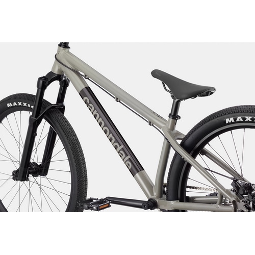 CANNONDALE ( Lmf[ ) }EeoCN DAVE ( fCu ) XeXO[ TCY ( Kg145-180cmO )